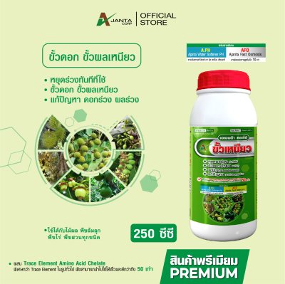 ขั้วเหนียว