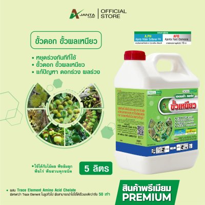ขั้วเหนียว