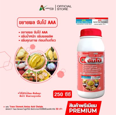 จัมโบ้ AAA ขยายผลก่อนเก็บ
