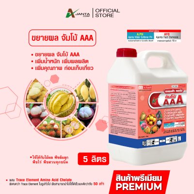 จัมโบ้ AAA ขยายผลก่อนเก็บ