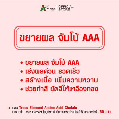 จัมโบ้ AAA ขยายผลก่อนเก็บ