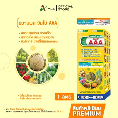 จัมโบ้ AAA ขยายผลใหญ่
