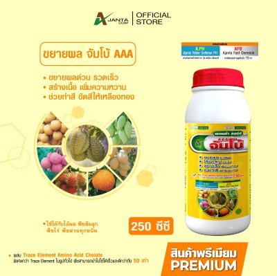 จัมโบ้ AAA ขยายผลใหญ่