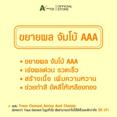 จัมโบ้ AAA ขยายผลใหญ่