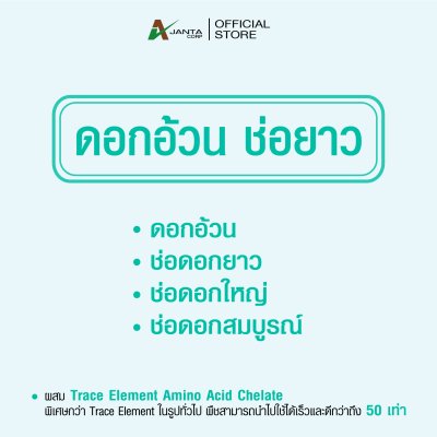ดอกอ้วน ช่อยาว