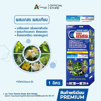 ผสมเกสร ผสมเทียม ไม้ผล