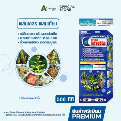 ผสมเกสร ผสมเทียม ไม้ผล