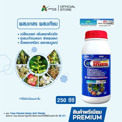 ผสมเกสร ผสมเทียม ไม้ผล