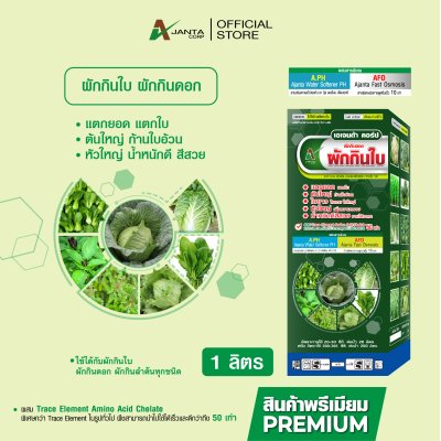 ผักกินดอก ผักกินใบ