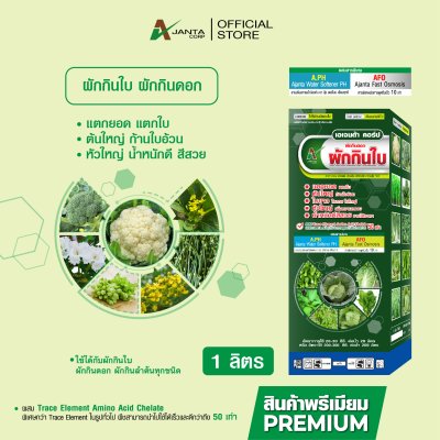 ผักกินดอก ผักกินใบ