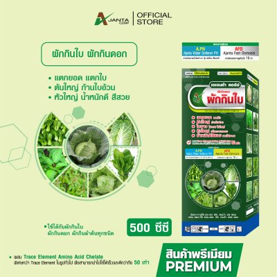 ผักกินดอก ผักกินใบ