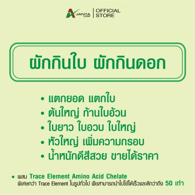 ผักกินดอก ผักกินใบ
