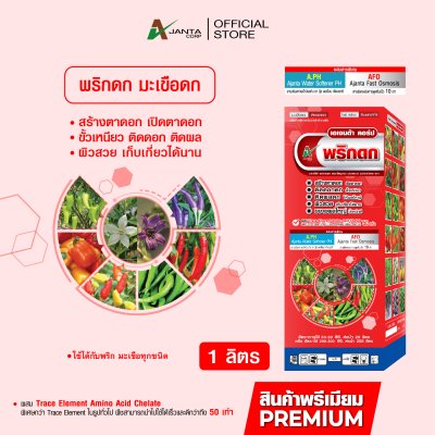 พริกดก มะเขือดก