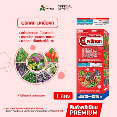 พริกดก มะเขือดก