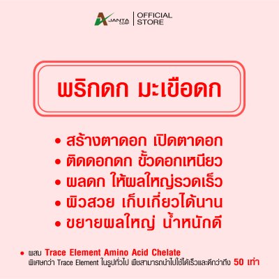 พริกดก มะเขือดก