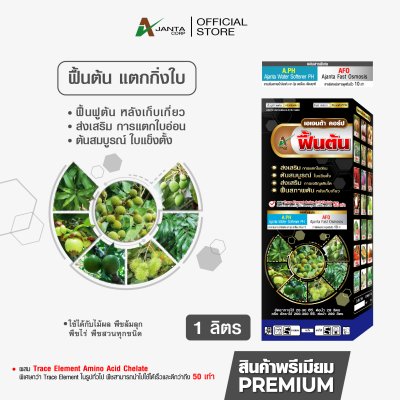 ฟื้นต้น แตกใบ