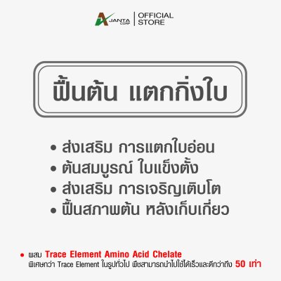 ฟื้นต้น แตกใบ