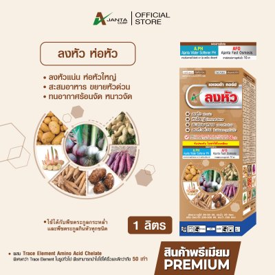 ลงหัว