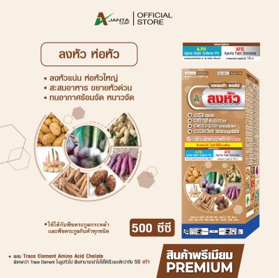 ลงหัว