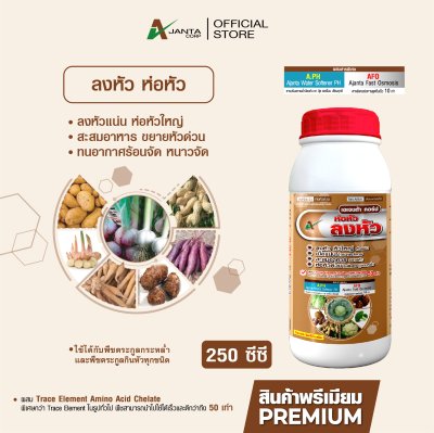 ลงหัว