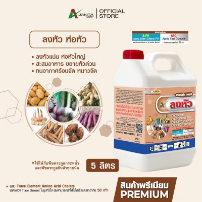 ลงหัว