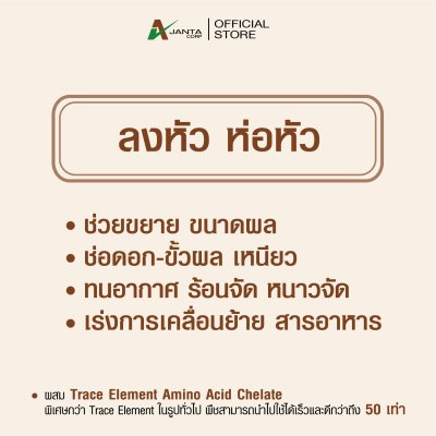 ลงหัว
