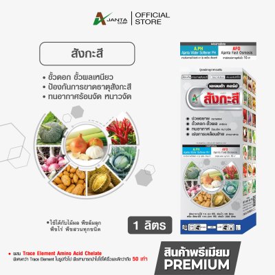 สังกะสี