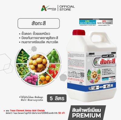 สังกะสี