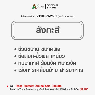 สังกะสี