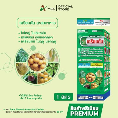 เตรียมต้น สะสมอาหาร