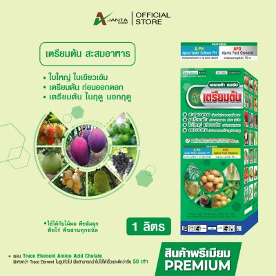 เตรียมต้น สะสมอาหาร