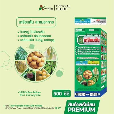 เตรียมต้น สะสมอาหาร