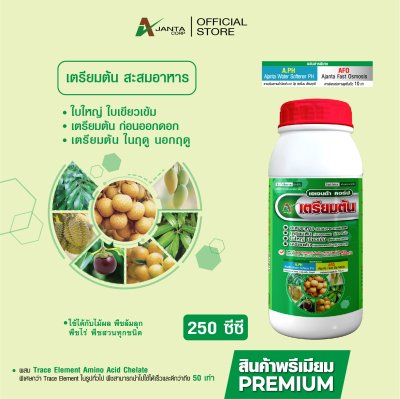 เตรียมต้น สะสมอาหาร