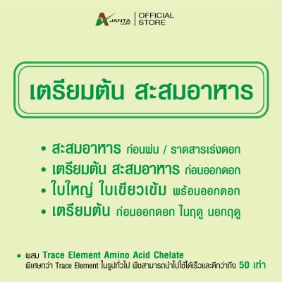 เตรียมต้น สะสมอาหาร