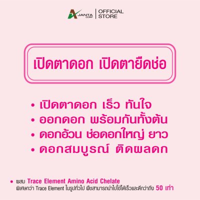 เปิดตาดอก ยืดช่อดอก