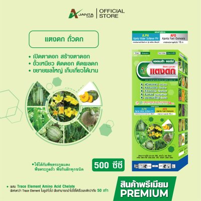 ถั่วดก แตงดก