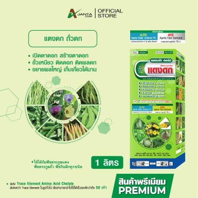 ถั่วดก แตงดก