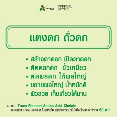 ถั่วดก แตงดก