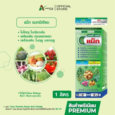 แม็กนีเซียม
