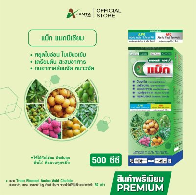 แม็กนีเซียม