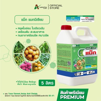 แม็กนีเซียม