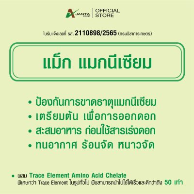 แม็กนีเซียม