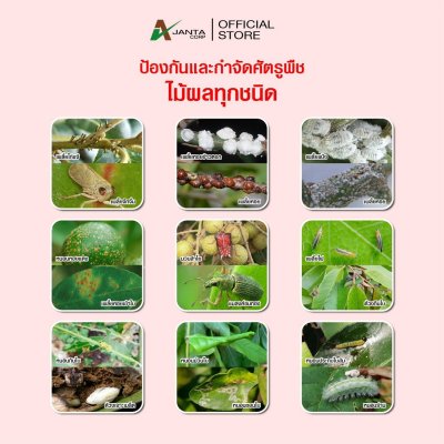 ไทอะมีทอกแซม + แลมบ์ดาไซฮาโลทริน