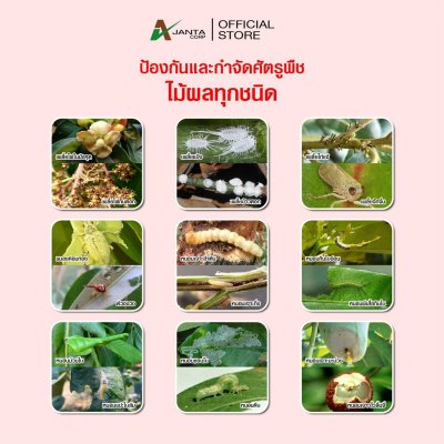 ฟิโพรนิล