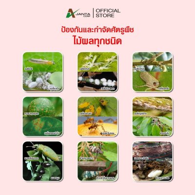 อะซีทามิพริด