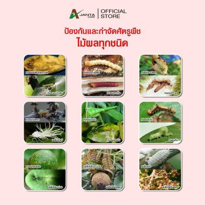 อีมาเมกตินเบนโซเอต