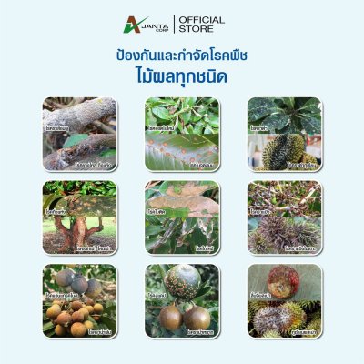 เฮกซะโคนาโซล