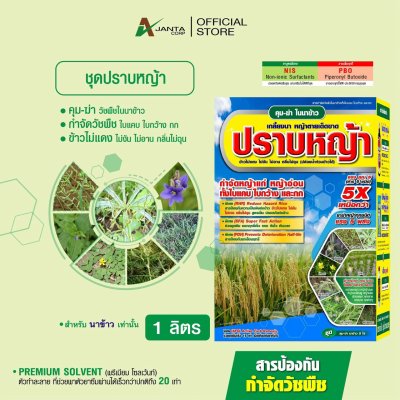 ชุดคุมฆ่า นาข้าว