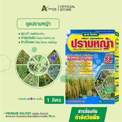 ชุดคุมฆ่า นาข้าว