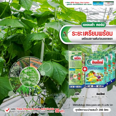 ระยะเตรียมพร้อม